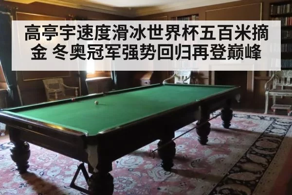 高亭宇速度滑冰世界杯五百米摘金 冬奥冠军强势回归再登巅峰